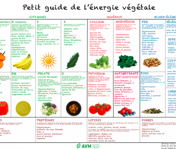 Les sources de protéines végétales