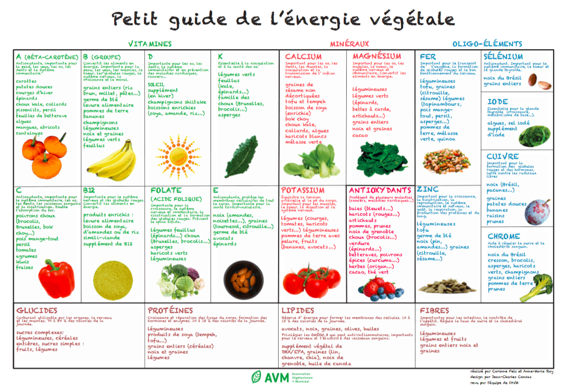 Une alimentation végétale saine et équilibrée : conseils pratiques