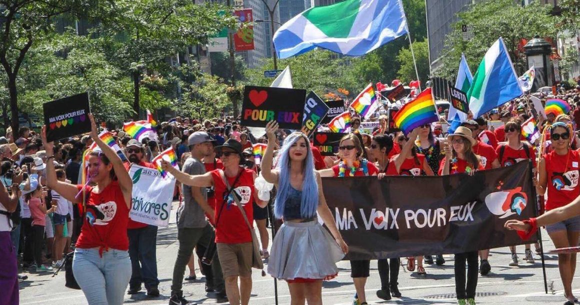 Pourquoi l’Association végétarienne de Montréal participe-t-elle à la Marche des Fiertés ?