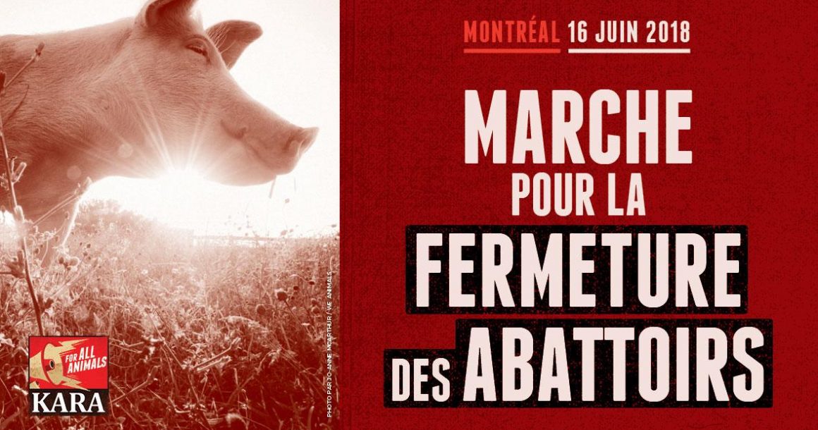 Marche pour la fermeture des abattoirs 2018