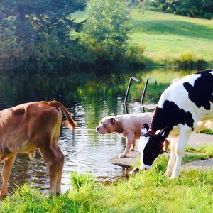 Portes-ouvertes au sanctuaire SAFE