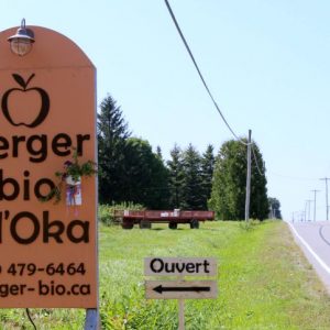 Une journée au verger bio d’Oka