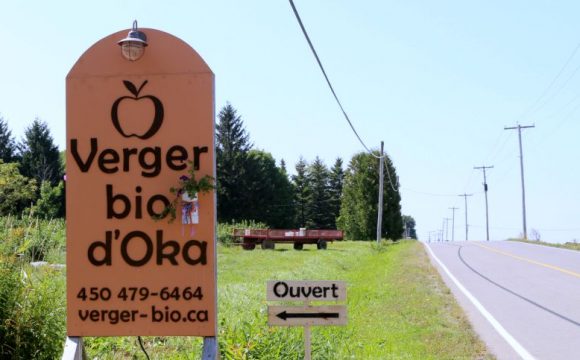 Une journée au verger bio d’Oka