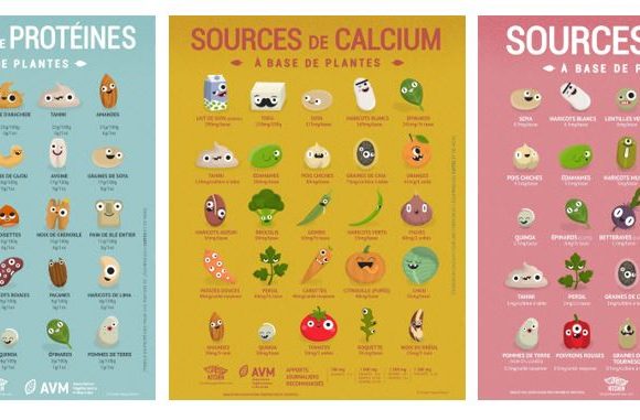 Aliments riches en iode pour vegan : algue, légume, lesquels ?