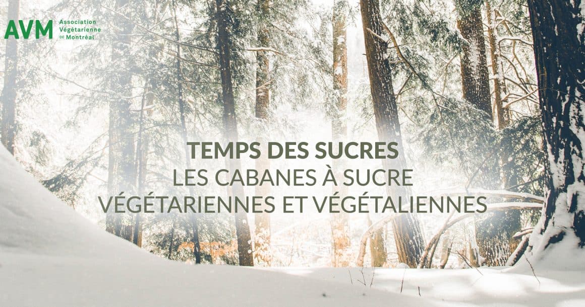 Temps des Sucres : cabanes à sucre végétariennes et végétaliennes