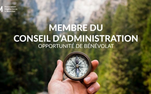 Bénévoles recherché.e.s pour le conseil d’administration