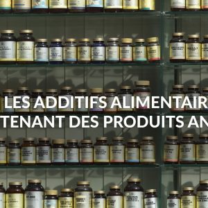 Les additifs alimentaires d’origine animale dans nos produits du quotidien