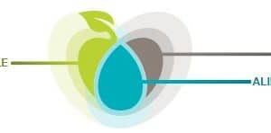 L’AVM devient membre du RAD – Réseau pour une alimentation durable, (Food Secure Canada (FSC)