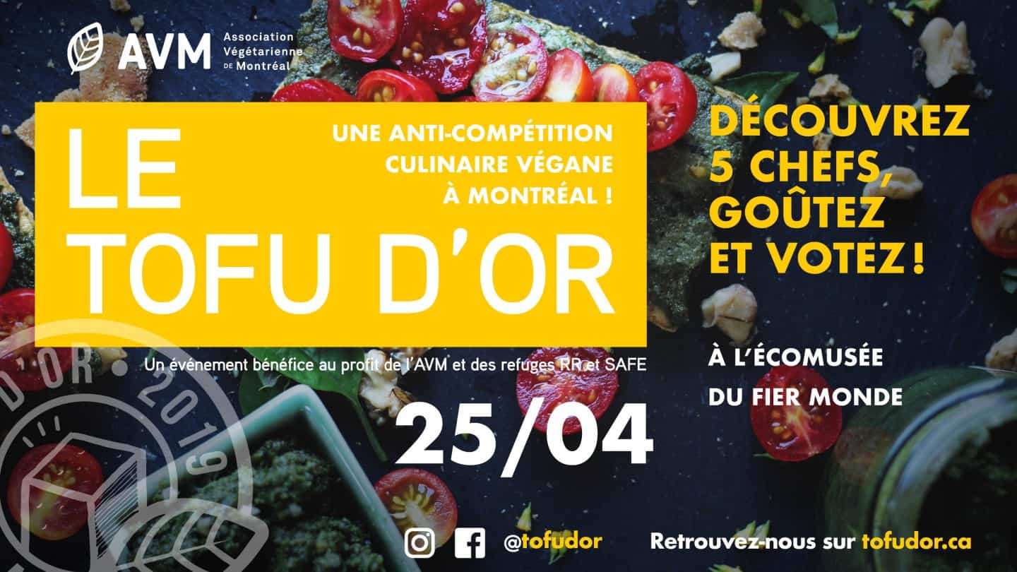 Tofu d'Or, Anti-compétition culinaire végétale - Association végétarienne de Montréal