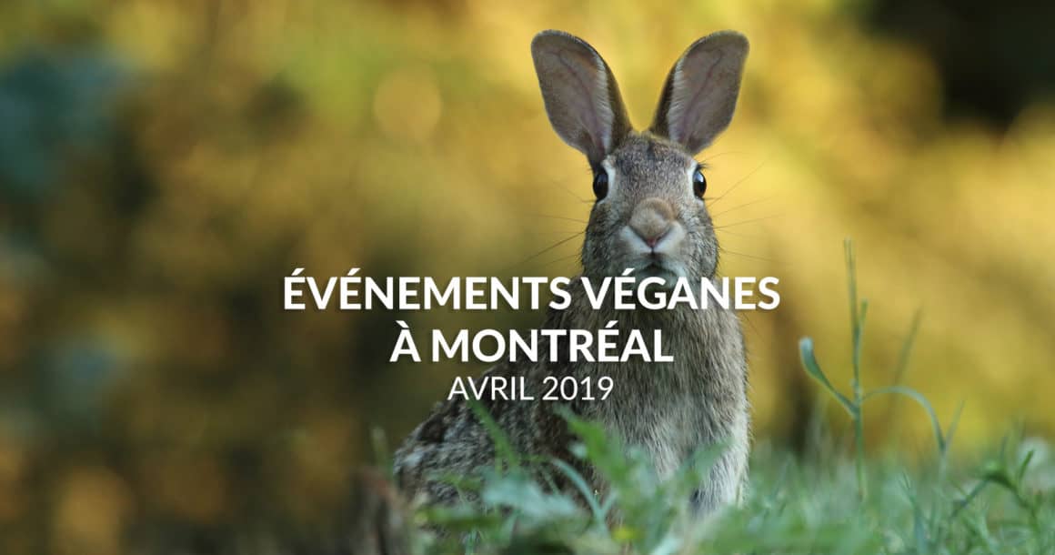 Événements véganes d’Avril 2019 à Montréal
