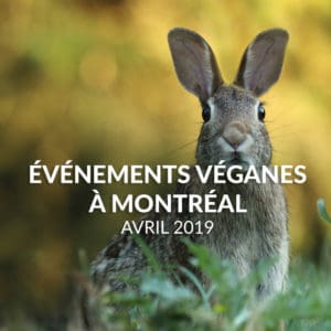 Événements véganes d’Avril 2019 à Montréal