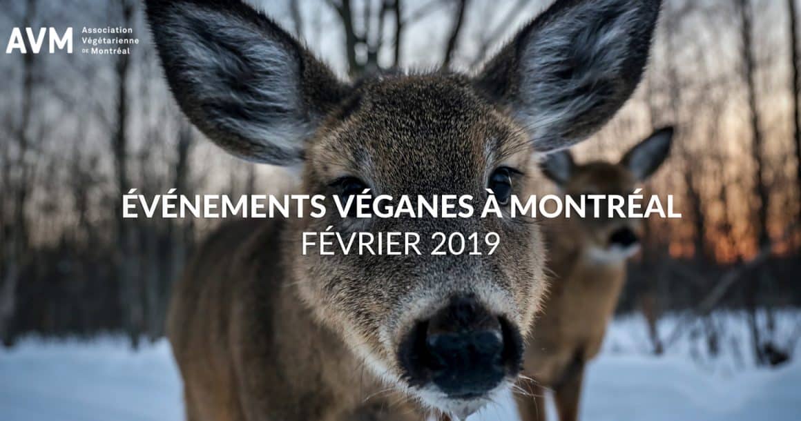 Événements véganes à Montréal en février 2019