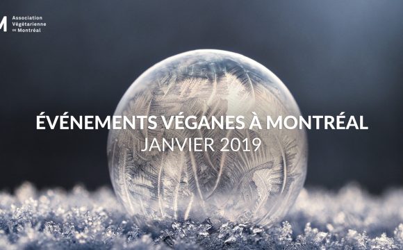 Événements véganes à Montréal en janvier