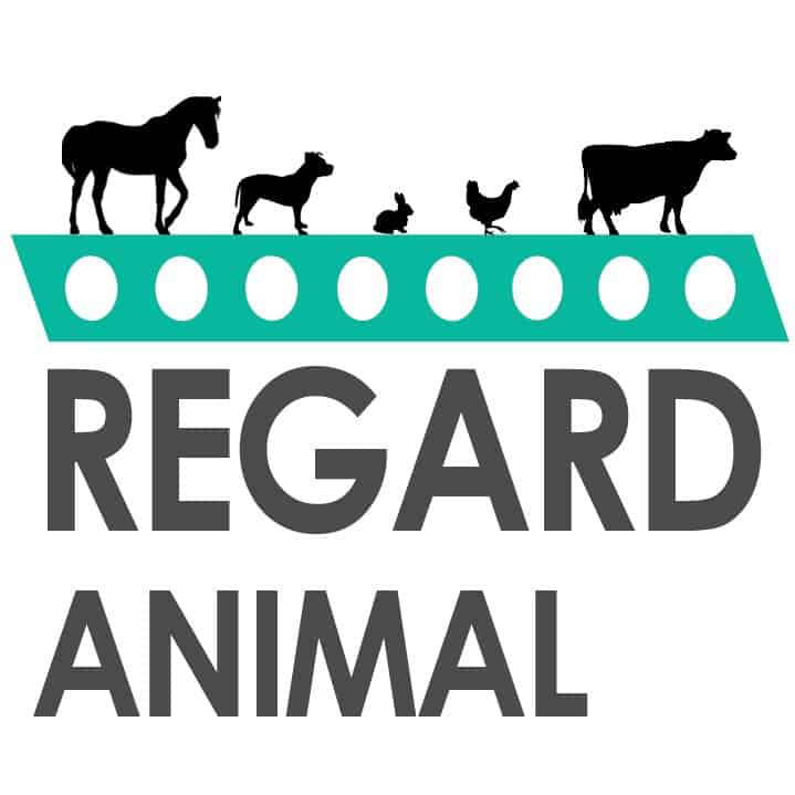 Regard Animal