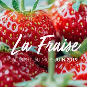 L’aliment du mois : la fraise