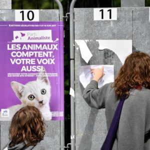 Percée du Parti animaliste et de la cause animale aux élections européennes en France