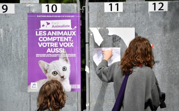 Percée du Parti animaliste et de la cause animale aux élections européennes en France