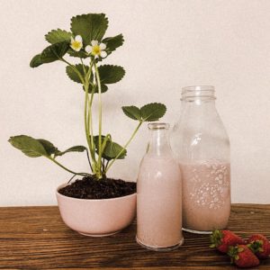 Boisson végétale à la fraise style « YOP »