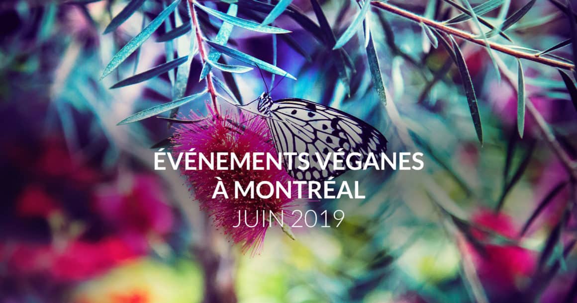 Les évènements véganes de juin 2019 à Montréal