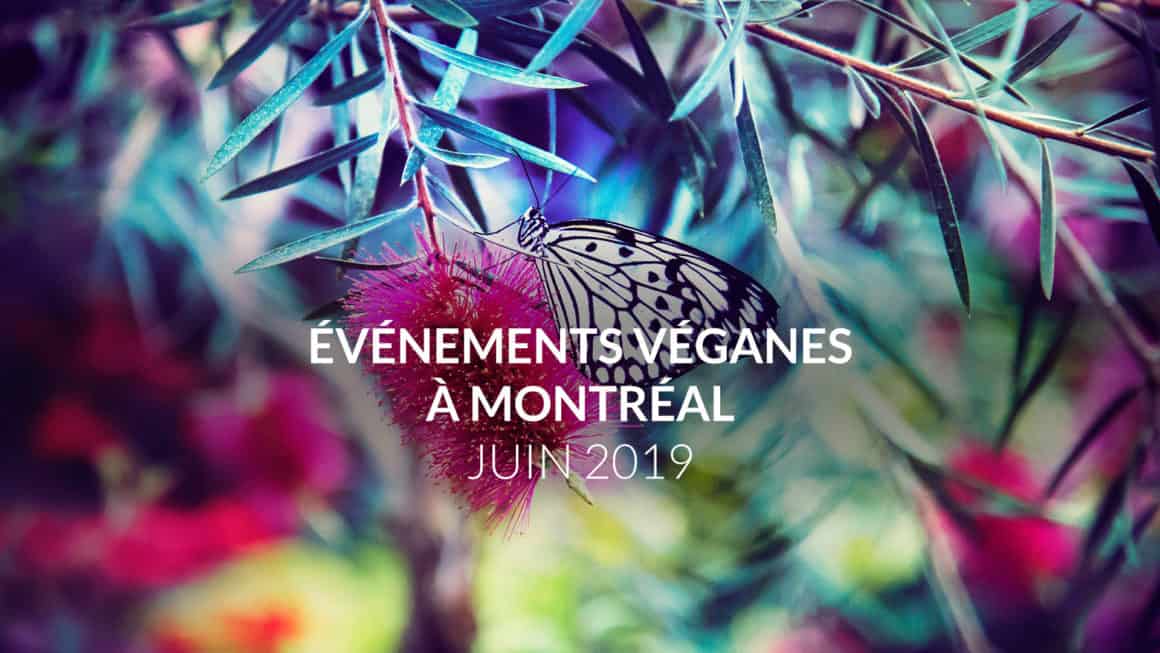 Les évènements véganes de juin 2019 à Montréal