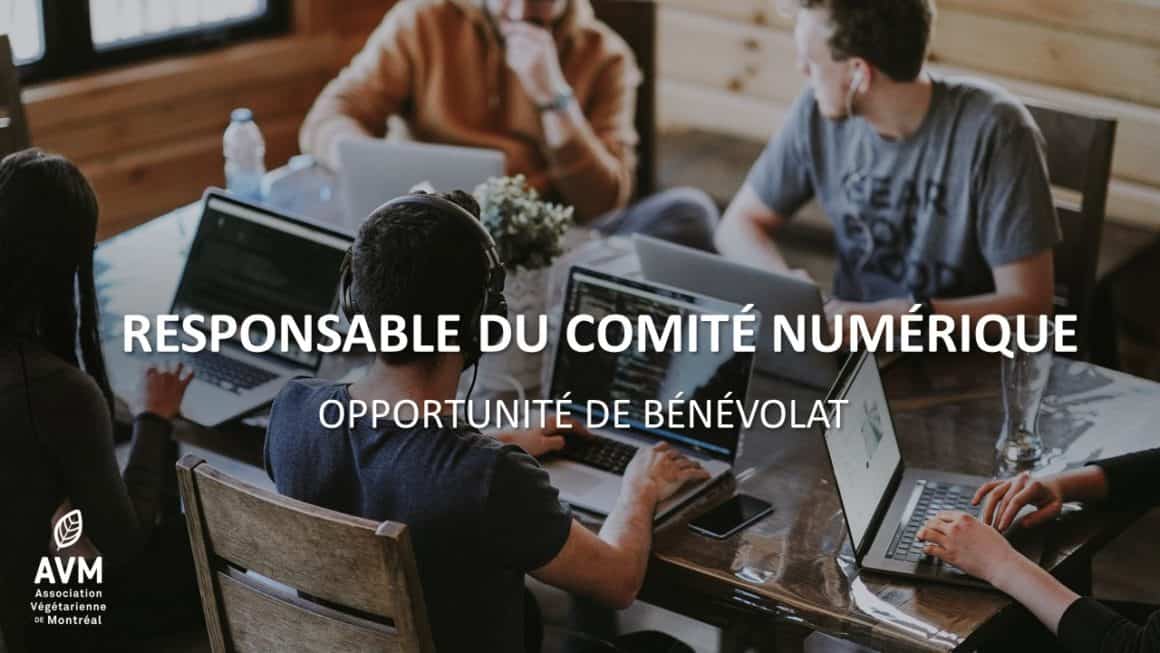 Bénévole recherché.e pour la gestion du comité numérique