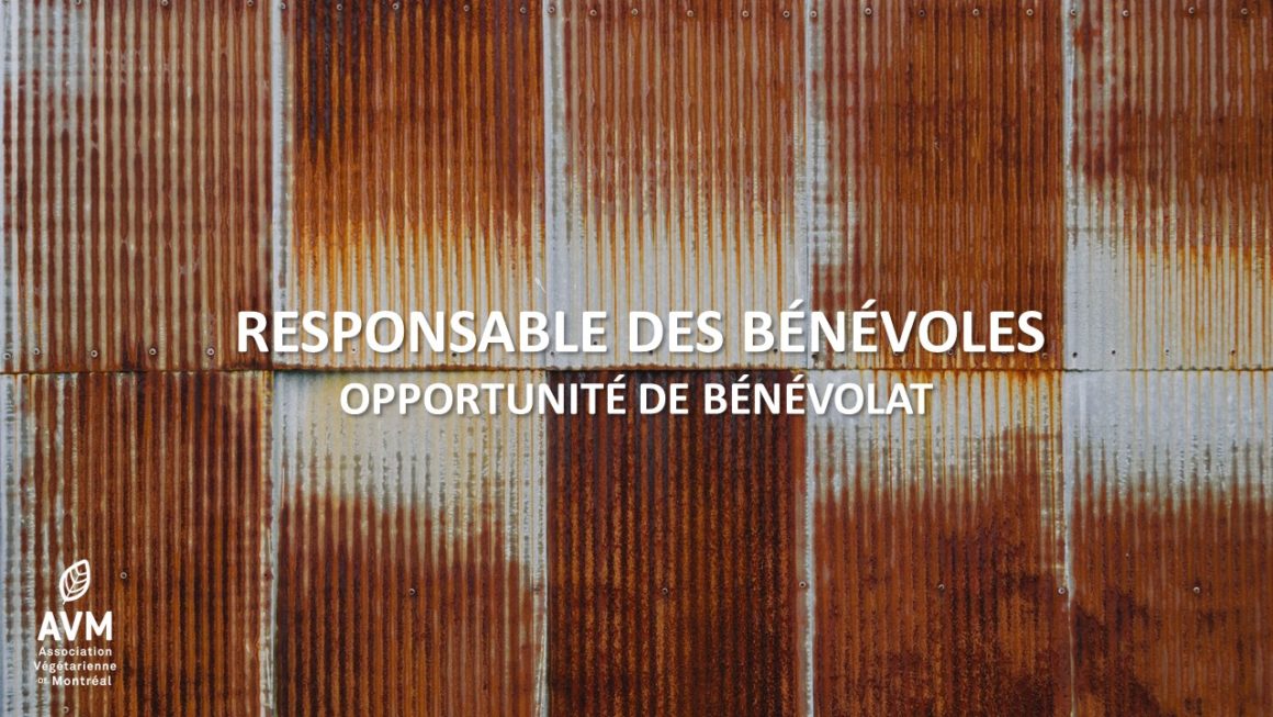 Bénévole recherché.e pour la gestion des bénévoles