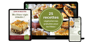 Livret recettes Fêtes 2021 Zengarry